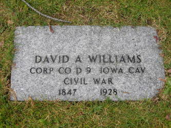 David  Williams
