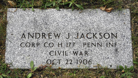 Andrew  Jackson