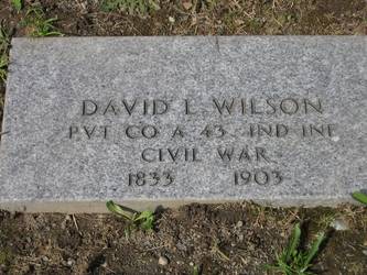 David  Wilson