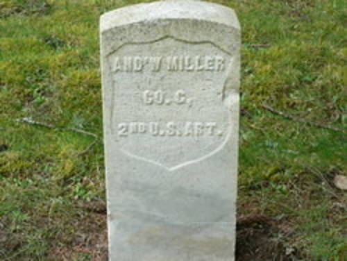 Andrew  Miller