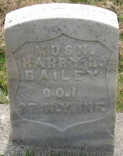 Harry Bailey