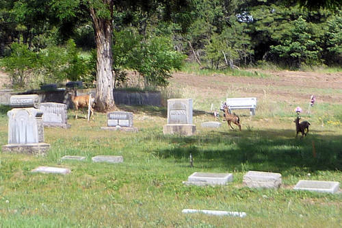 IOOF Mountain View Cemetery Goldendale 