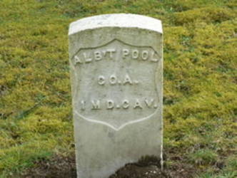 Albert Pool